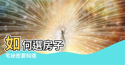 坐西南向東北風水|【坐西南向東北】坐西南朝東北房子的風水秘訣：不可不知的風水。